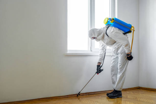 Best Fumigation Services  in Emerd Mountain, AL